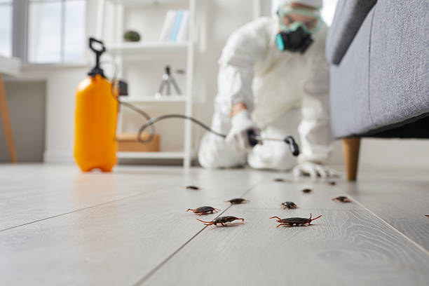 Post-Treatment Bed Bug Interceptor Monitoring in Wooster